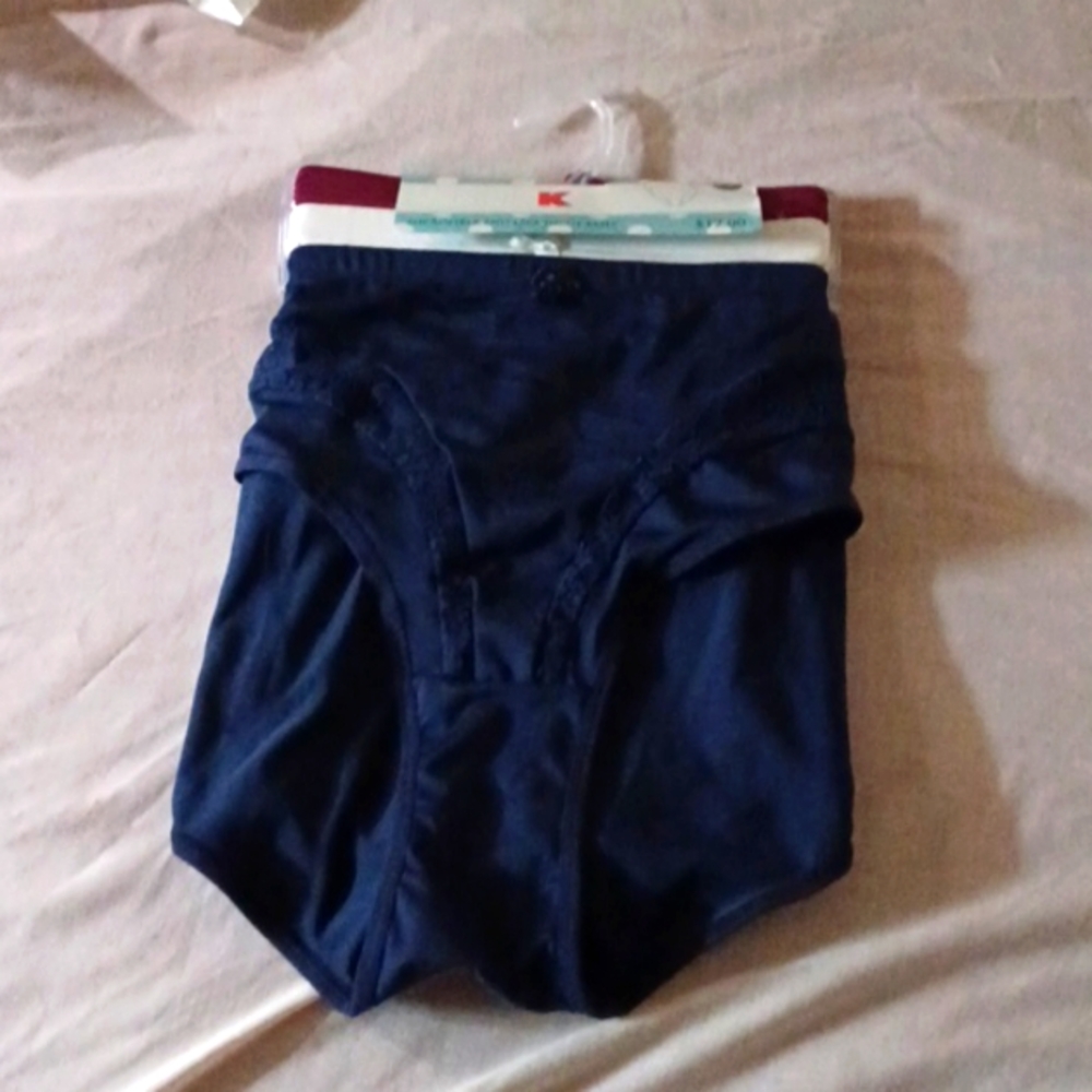 Microfiber Lace Highcut Briefs